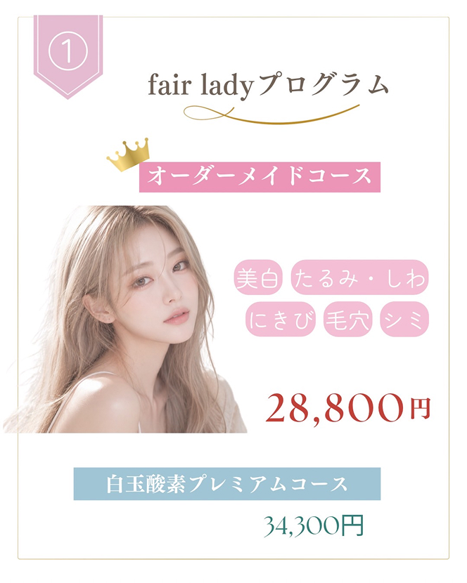 fair lady プログラム オーダーメイドコース